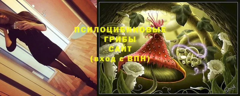 блэк спрут tor  это клад  Псилоцибиновые грибы GOLDEN TEACHER  Миллерово 